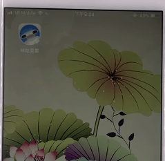 在咪咕灵犀中进行翻译的详细讲解