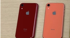重磅！iPhone XR开启预定：6种配色可选！