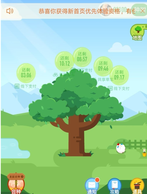 支付宝蚂蚁森林变身 不同之处找到了没?