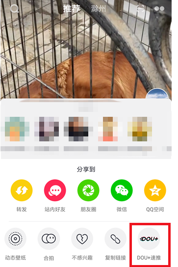 抖音里dou+的详细使用过程