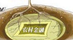 农泰金融APP充值的简单操作