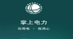 在掌上电力中查询日用电的详细方法