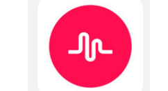 muse的详细使用过程讲解