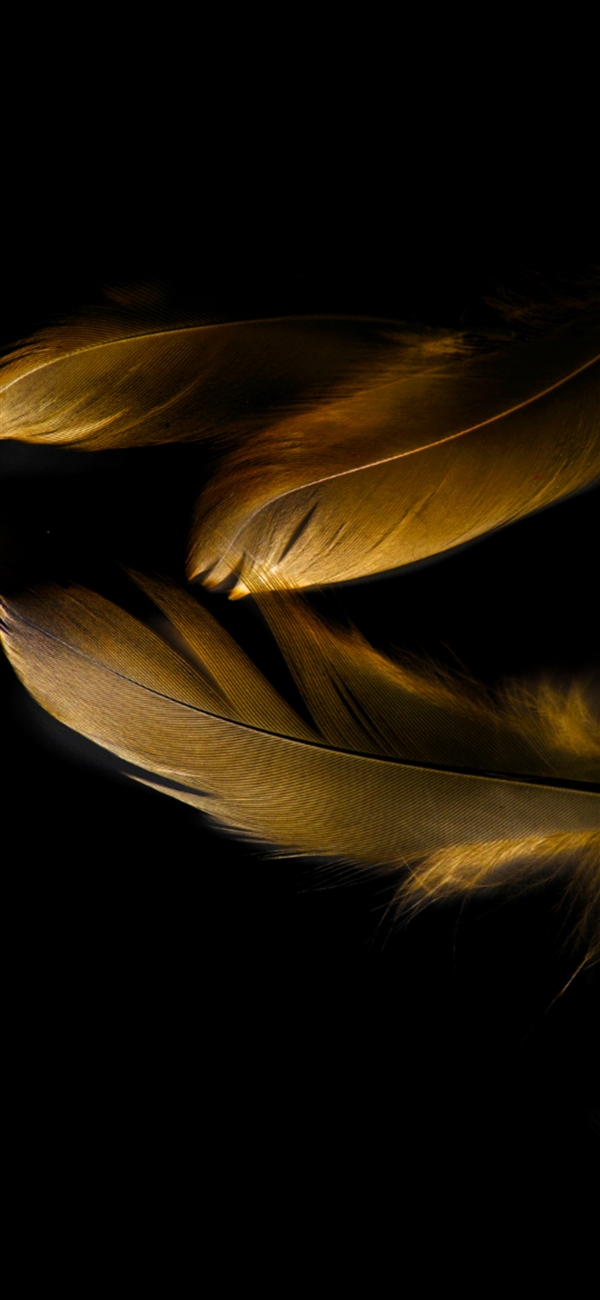 华为Mate20 RS保时捷版上线：内在气质完美