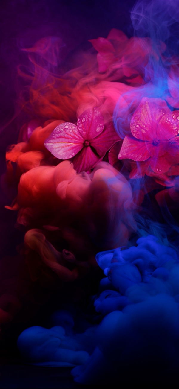 华为Mate20 RS保时捷版上线：内在气质完美