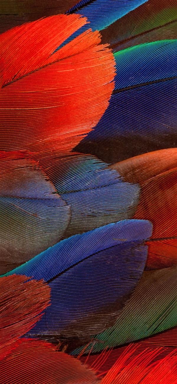 华为Mate20 RS保时捷版上线：内在气质完美