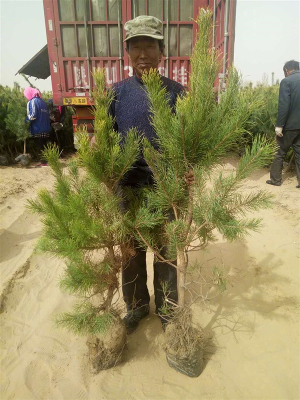 支付宝善举获国家认可！能写进简历