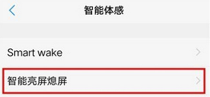 在vivoz3中打开抬手亮屏的方法