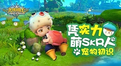 《光明勇士》法师详解