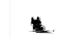 猫耳fm设置启动音的操作过程