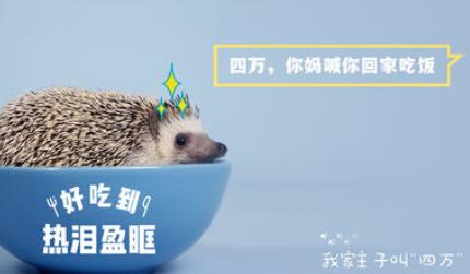 通过猫饼剪辑视频的详细操作过程