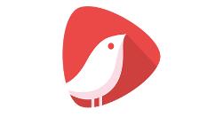 猎豹头牌app的详细使用过程讲解