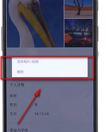 在探探里将头像删掉的详细操作讲解