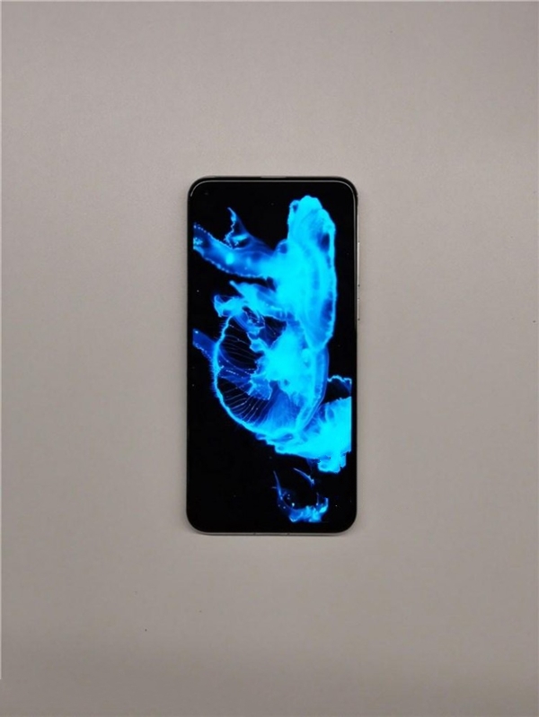 华为nova 4真机照曝光：额头和左右两边等宽