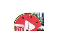 西瓜视频APP设置免流量的详细操作