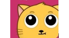 在喵播里进行提现的操作流程