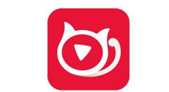 猫盟直播APP发起辩论的操作过程