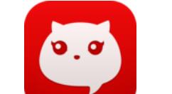 猫呼APP添加标签的操作流程