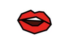 字说APP的简单使用过程介绍