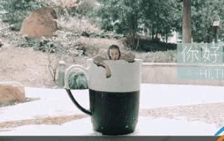 抖音APP录制出跳进水杯特效的操作流程