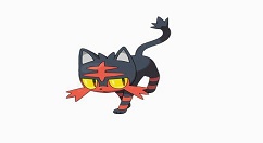 《口袋妖怪冠军的旅程》火斑喵位置分享