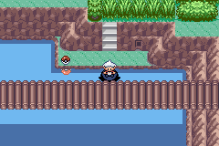 《口袋妖怪蛇纹木》破碎之心获取分享