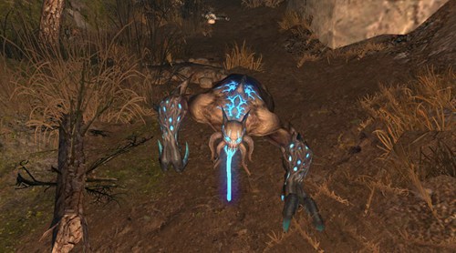 明日之后茅斯沼泽地图进入要求分享