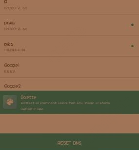 哔咔漫画修改dns的详细操作