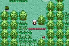 《口袋妖怪蛇纹木》破碎之心获取分享