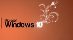 微软推旗下Windows 10 19H1新版18312