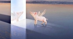 MANN将在明日发布新品：和猪有关