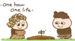 一小时人生从零开始防熊孩子拆家分享