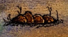 《一小时人生》窑炉做法分享