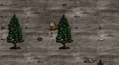 《一小时人生》面包解锁分享