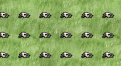 《一小时人生》马拉车制作分享