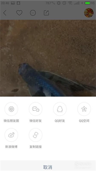 在快手里查看作品id的操作流程