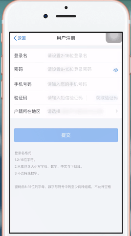 自然人办税服务平台进行注册的操作过程