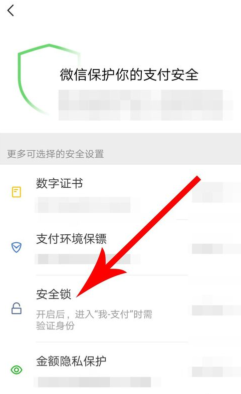 微信APP设置支付安全锁的基础操作