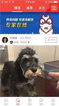 有宠app发动态的基础操作过程