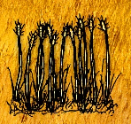 《一小时人生》窑炉做法分享