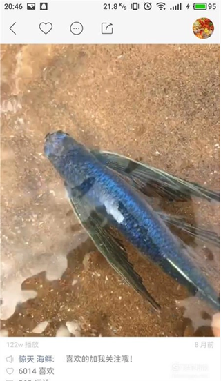 在快手里查看作品id的操作流程