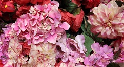 王川公开小米9拍照样张：拍照效果惊人