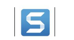 Snagit将彩色图片打造成黑白图片的操作过程