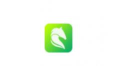 白马浏览器设置隐身窗口的操作过程