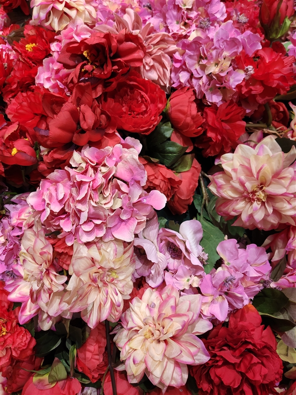 王川公开小米9拍照样张：拍照效果惊人