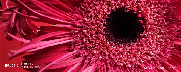 迄今最好看的小米手机！小米9正式上线！