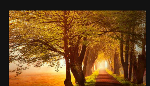 photoshop里历史画笔使用操作介绍