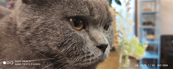 迄今最好看的小米手机！小米9正式上线！