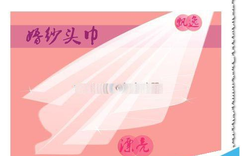 cdr制作婚纱白色头纱的操作流程