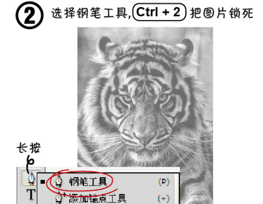 ai制作老虎头像的图文操作